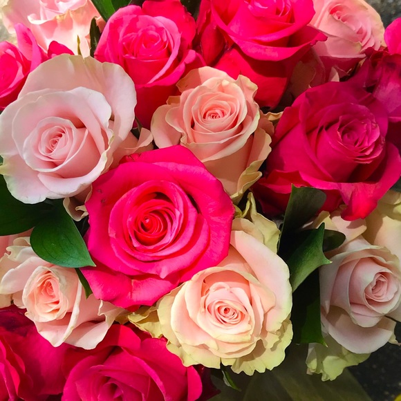 Meet your Posher, Grace - Picture 1 of 1